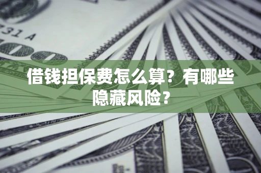 武汉借钱担保费怎么算？有哪些隐藏风险？