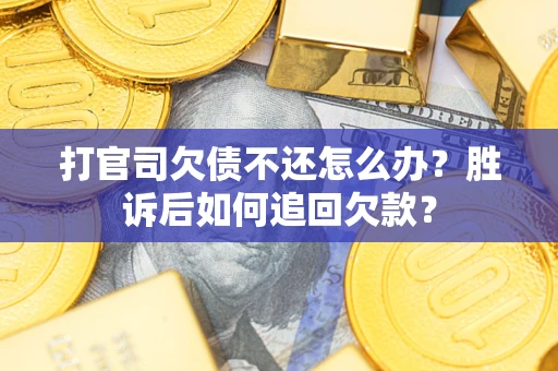 武汉打官司欠债不还怎么办？胜诉后如何追回欠款？
