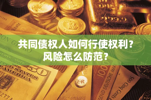 武汉共同债权人如何行使权利？风险怎么防范？