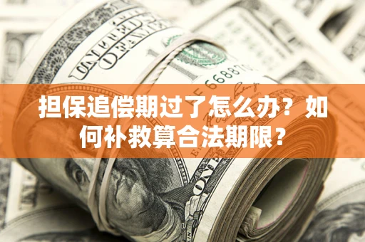 武汉担保追偿期过了怎么办？如何补救算合法期限？