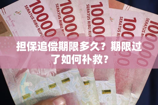 武汉担保追偿期限多久？期限过了如何补救？