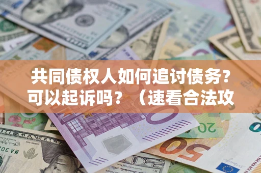 武汉共同债权人如何追讨债务？可以起诉吗？（速看合法攻略）