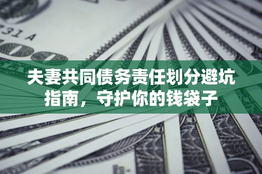 武汉夫妻共同债务责任划分避坑指南，守护你的钱袋子